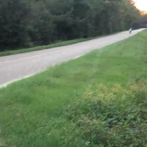 Meet your Posher, Allen